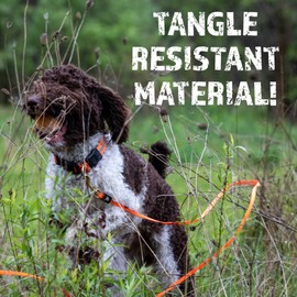 RigidBuilt Tracking Leash & Long Check Cord | 30 Feet | Waterproof Standard Dog Leash | Heavy Duty & Easy to Clean Hunting Dog Accessories