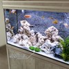 Pangda 1 Pcs Aquarium Fish Self Leveling Mat for Under