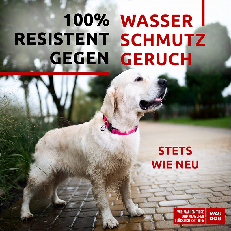 WAUDOG Dog Collar Waterproof Adjustable for Large / Small /