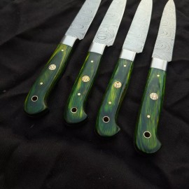 Damascus Eye Catching Custom Made Damascus Blade 4Pcs. CHEF/KITCHEN Steak Knives Set 1081