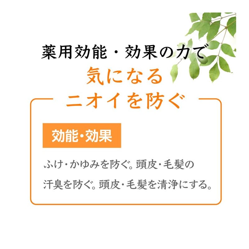 Sje Z28L018 Rinse-In Shampoo, EX (Change Container), Persimmon Shibu Extract,