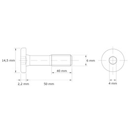 HEXATON Cylinder Head Screws with Hexagon Socket Partial Thread M6 x 50 mm Pack of 50 Galvanised Steel Cylinder Screws Metric Thread Metric Screws