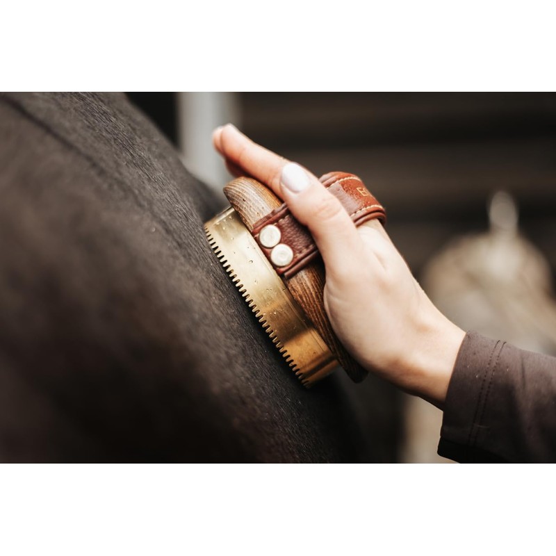 Equimour Metal Curry – Horse Curry with Brass Tines &