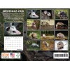 Decor Logistics Opossum Calendar 2026 Monthly Wall Calender 12 Month