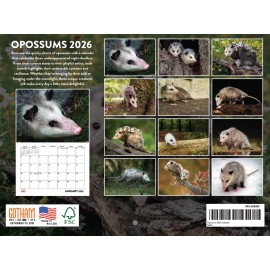 Decor Logistics Opossum Calendar 2026 Monthly Wall Calender 12 Month