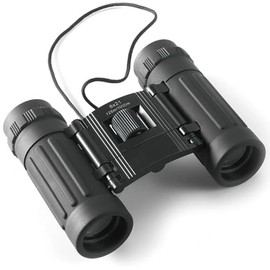 Generic Compact Pocket Binoculars 10x25 101m/1000m, Black