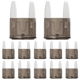 ALLECIN Pack of 50 2A Car Fuses Mini 2 Amp Car Fuses Mini 2 Amp Blade Fuses Plug Fuse Car Fuse for Motorhome Truck Car Motorcycle