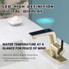 ICREEH LED Bathroom Faucet with Temperature Display, Brushed Gold Bathroom