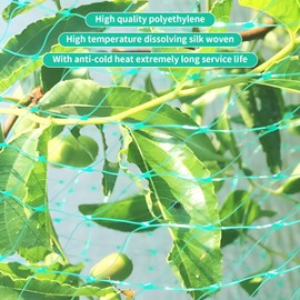 Bird Protection Net, Bird Net, Pond Net, Garden Net, Pool Net for Garden, Balcony or Pond, Cherry Tree (6 x 10 m)