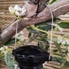 Tom Chambers Heavy Duty Flick n Click Nyjer Feeder