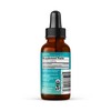 Guava Leaf Extract - Organic Guava Leaves - Hojas de