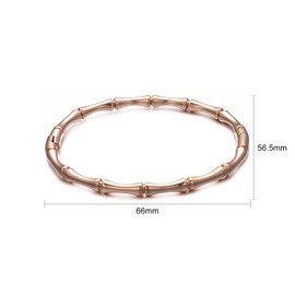 vissen Rose Gold Bling Bracelet for Women Stainless Steel Bamboo Shaped Classic Bracelet Simple Jewelry Gift