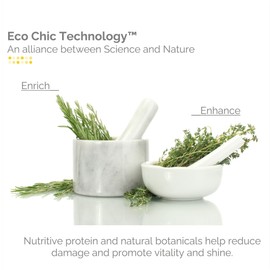 GIOVANNI Nutrafix Hair Reconstructor - Moisturizing Repair for Damaged Hair, Infused with Natural Botanical Ingredients, Encourages Thickness & Volume, Color Safe, Salon Quality - 6.8 oz (3 Pack)