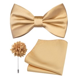 Branduce Champagne Gold Bow Tie for Men Wedding Solid Satin Silk Blend Bowties Pocket Square and Lapel Pin Brooch Set (BB07-10)