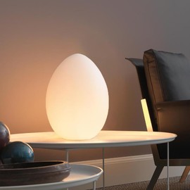 Mr.Go 11-Inch LED Egg Lamp with Remote - Color-Changing, Cordless, Waterproof, Rechargeable Night Light Mood Lighting - 16 RGB Colors, 4 Modes, Dimmable - Great as Table Centerpiece or Room Decoration