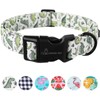 ARING PET Dinosaur Dog Collar-Cute Dog Collar for Small Dogs,