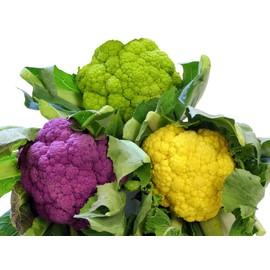 This is A Mix 50 Cauliflower Mix Seeds Heirloom Non-GMO 4 Varieties Purple Green Yellow Delicious, Brassica oleracea, from USA