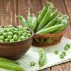 Organic Snap Pea Seeds (Sugar Daddy) - Approx 75 Seeds