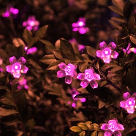 KINGCOO Solar Flower String Lights Outdoor, Waterproof 21FT 50LED Peach Cherry Blossom Solar Fairy String Lights 8modes for Gardens Indoor Home Wedding Christmas Party Decorations(Pink)