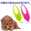 PLATZ PET SUPPLIES & FUN Walking Goods Safety Light, Clear