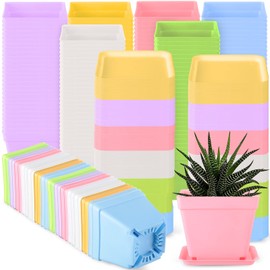 Amyhill 160 Pcs 4 Inch Nursery Pots with Saucer Plastic Square Planting Pots Multi Colored Seed Starting Pots for Flower Succulent Transplanting Indoor Outdoor Room Garden Office Balcony