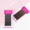 TDANCE Brown Lash Spikes 5D Spikes Lash Extensions Natural Look