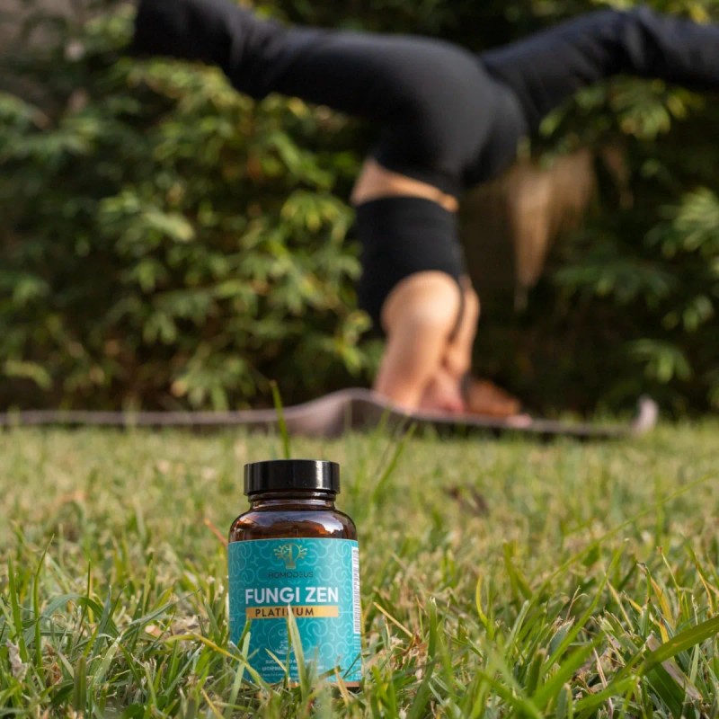 Adaptógenos Platinum Hongos Con Melena León 60 Cáps Homodeus