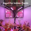 LEOTER Grow Light for Indoor Plants - Upgraded Version 80