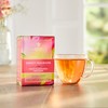 Taylors of Harrogate Herbal Tea Fruit Infusions Variety Pack –