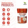 NATSA Psyllium Plantago Polvo 500 g 100 Porciones 5 g