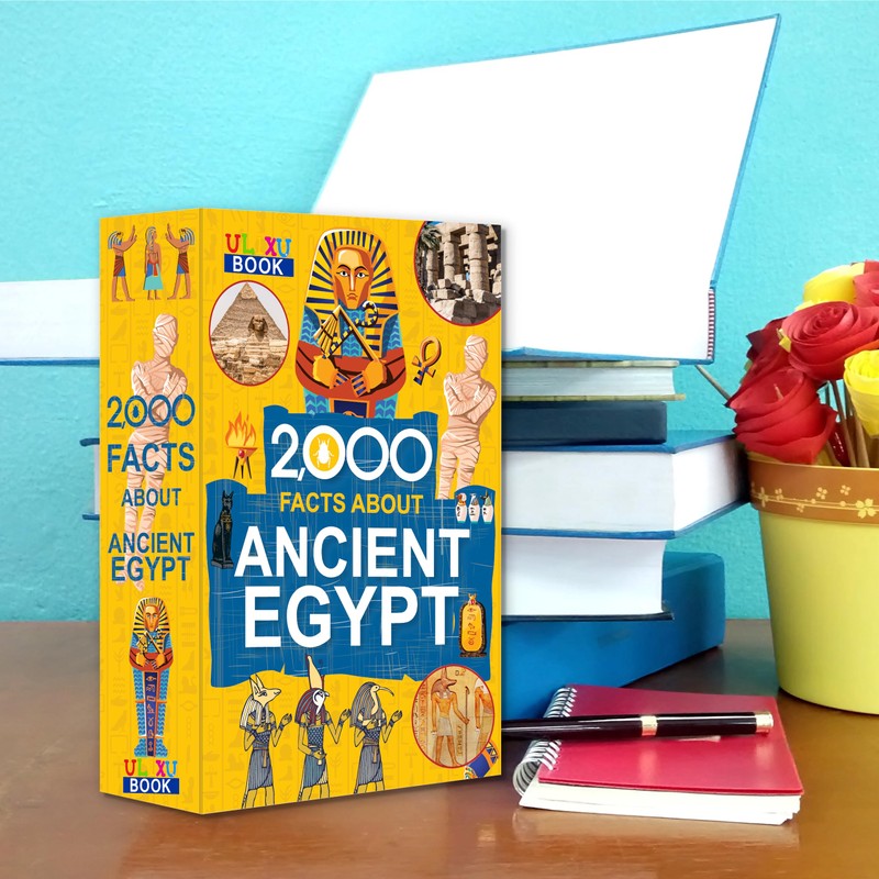 Deversion Book Safe Storage Box with Real Pages Combination Lock