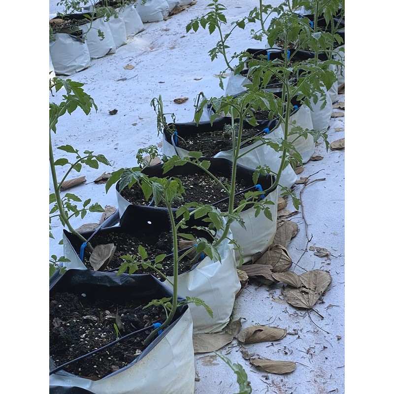 HORTIPOTS - Bolsas de cultivo de panda de 2 galones