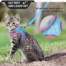 Step in Cat Vest with Leash Set no Escape Proof Soft,Waking cat Adjustable Vest Harness for Puppy, Comfortable Outdoor Lightweight,Easy Control Breathable