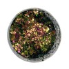 IBN Chameleon Flakes (7 Oriental)