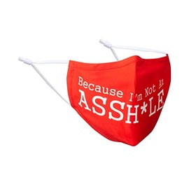 100% Cotton Washable Not An A-Hole Face Mask - Kids