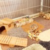 Jwizyotr Hamster Treats 15 PCS Rat Treats Hamster Chews for