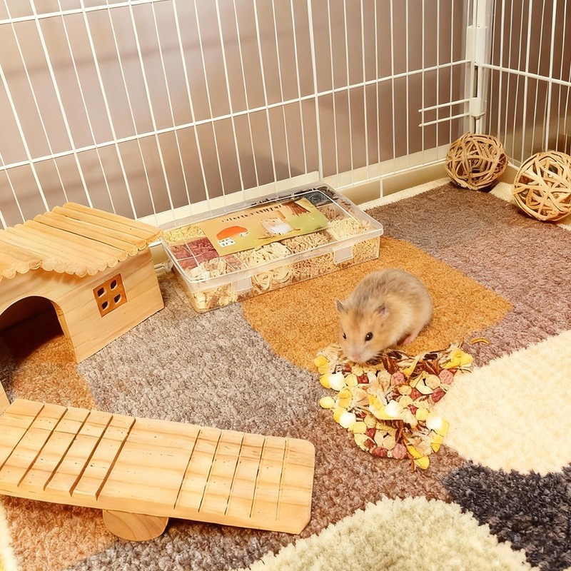 Jwizyotr Hamster Treats 15 PCS Rat Treats Hamster Chews for