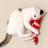 Shrimp - Petio Stuffed Animals for Pets