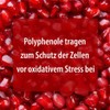 Pharma Peter Pomegranate Extract Capsules 90 Pieces 90 Capsules