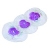 SOTO ST-2101 Mantle ST-2101 (Pack of 3)