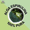 Daimel | Alga Espirulina Pura En Polvo 1kg Superfood Orgánica