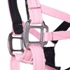 Big Dog Styles Head Collar. Made in UK for Large