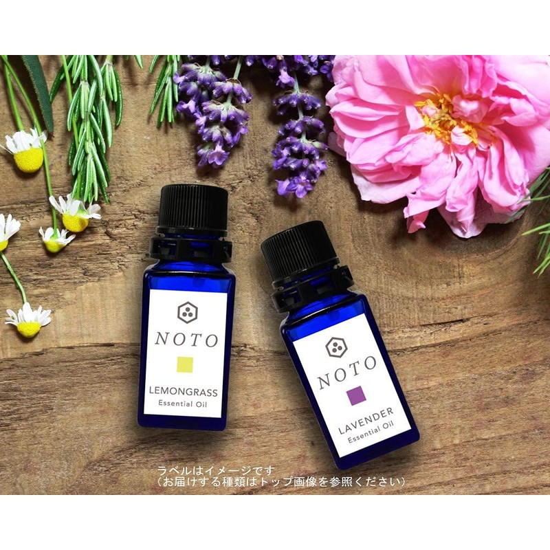 NOTO Green Apple Aroma Oil, 0.2 fl oz (5 ml),