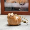 Zengjunwei Cat Hair Keyring, Cat Hair Memorial Capsules Keychain, Transparent