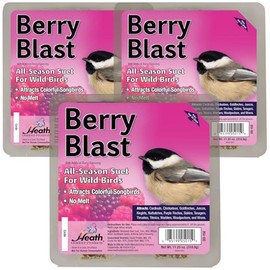 Heath Outdoor Products Berry Blast Suet Cakes Sample Pack, Contains 3 Suet Cakes, Try It, Your Birds Will Love it, for Woodpeckers, Cardinals, Siskins, Sparrows, Finchs & Many More Wild Bird Species