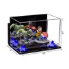Better Display Cases Versatile Acrylic Display Case - Small Rectangle