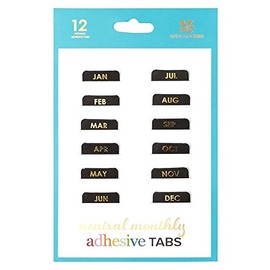 Erin Condren Designer Accessories - Monthly Adhesive Tabs, Neutral Metallic (Set of 12). Great for Organizing and Sorting in Planners, Agendas, or Notebooks by Month