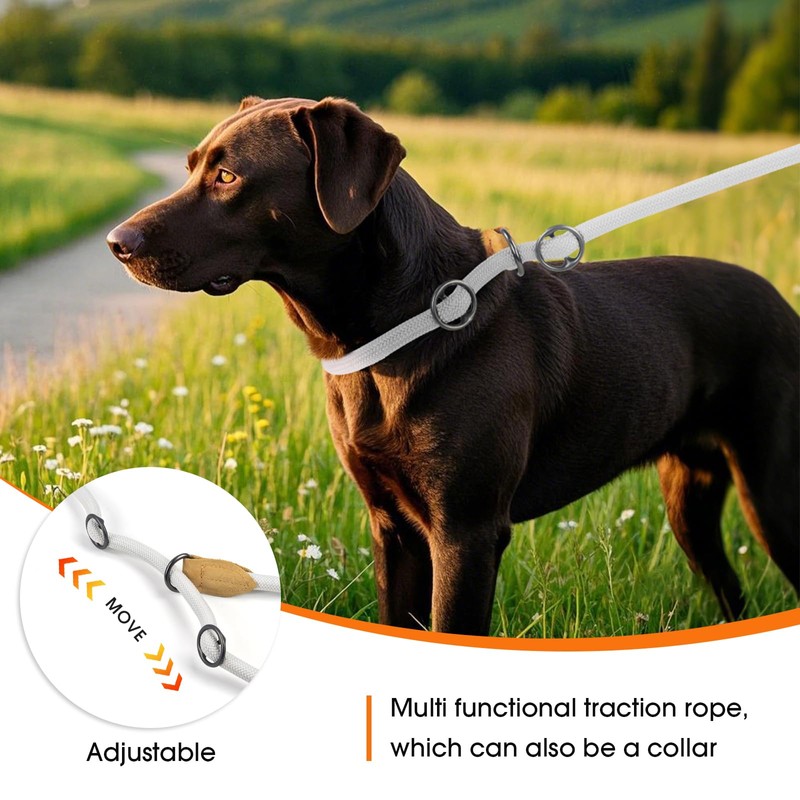 Wolfone Slip Lead Dog Leash - Heavy Duty Rope Leash