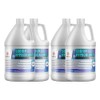 Sodium Hypochlorite 5.25% - 4 Gallon Case - for Water