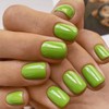 Green Press on Nails Short Square Fake Nails Press ons